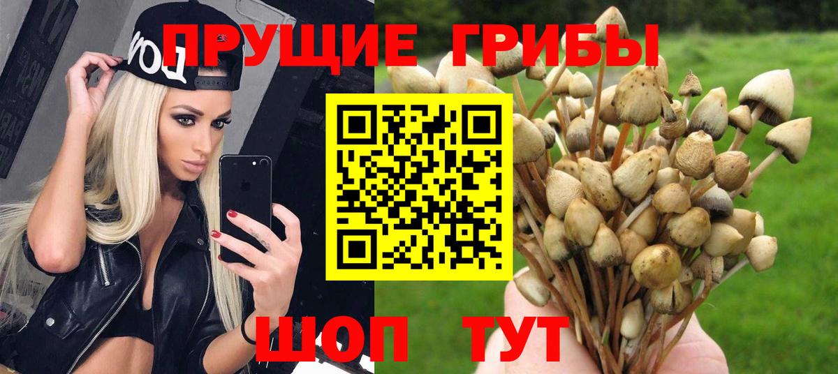продажа наркотиков  Псилоцибиновые грибы мицелий  Вход с VPN  Богородск 