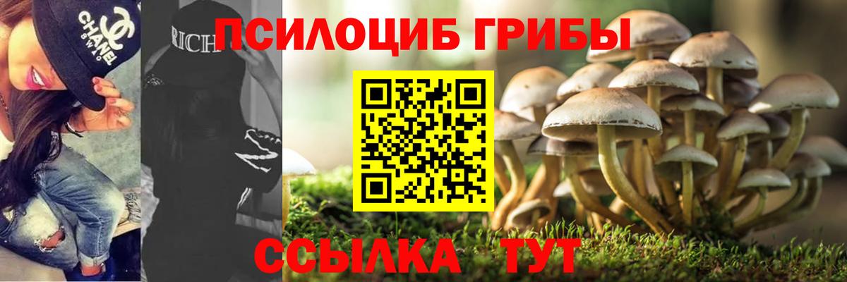 Меф МЯУ МЯУ кристаллы  МЕФ  Богородск  ГАШ  NBOMe  Вход с VPN  Конопля  Продажа наркотиков 